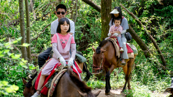 Excursión de un día por el antiguo camino del té y los caballos en el lago Lashi de Lijiang|Montar a caballo y remar en bote|Grupos pequeños sin compras obligatorias|Mansión de moda|