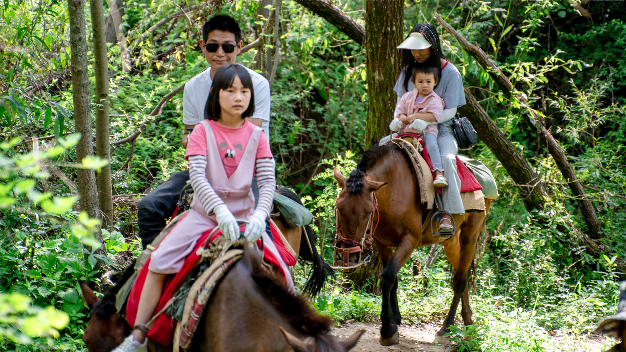 ทัวร์ 1 วัน ถนนเก่าของลาชิไห่ชา ลี่เจียง|ขี่ม้าและพายเรือ|ทัวร์ 1 วัน แบบไม่มีช้อปปิ้ง|คฤหาสน์ดัง|