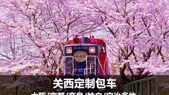 日本大阪市區/京都/奈良/神戶/宇治包車一日遊【華人司機 多地出發 上門接送 景點任選 關西私人訂制包車遊】