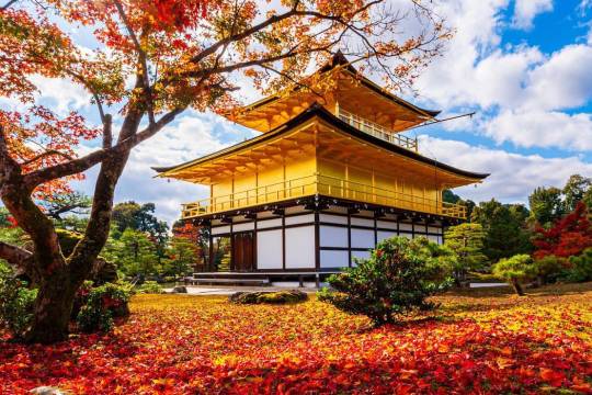 One-day trip to Kyoto, Japan + Kinkakuji Temple + Uji Bridge + Byodo-in Temple + Kiyomizu Temple