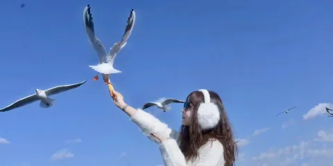 昆明石林風景區+滇池一日遊【9點晚出發◆可選15人小團】