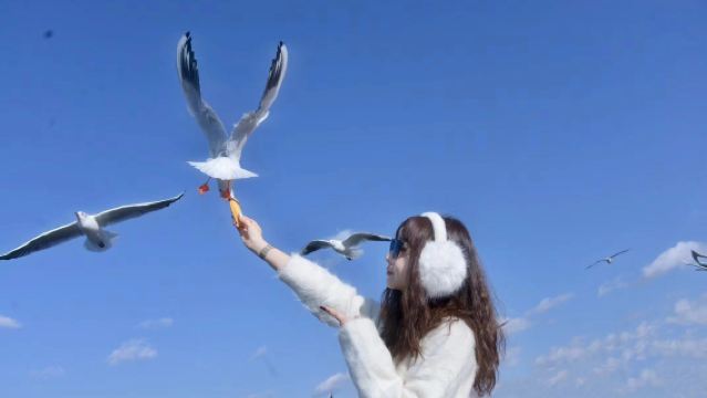 昆明石林風景區+滇池一日遊【9點晚出發◆可選15人小團】