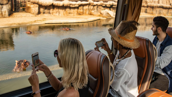 Dubai Wildlife Park Besuch + Shuttle-Zug Erlebnis + Safari-Erlebnis