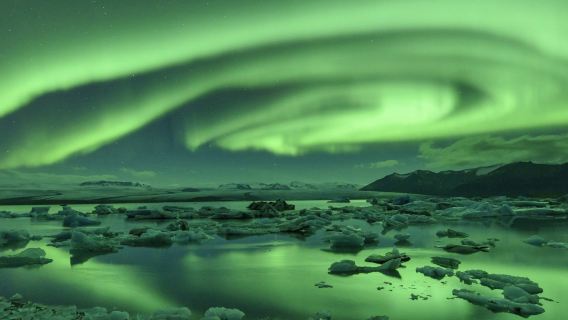 Northern Lights: 3-Hr Bus Tour + Transfer