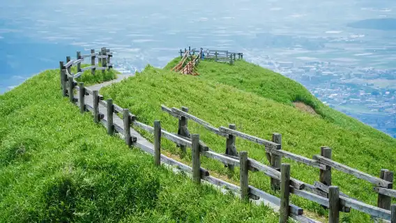 Kyushu Nature & Culture Tour: Sacred Forest, Aso Caldera & Rustic Onsen