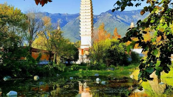 однодневный тур по Древнему городу Дали + парку Эрхай + острову Саншэн + деревне Чунъи + Идеальному городу с услугами на китайском и английском языках