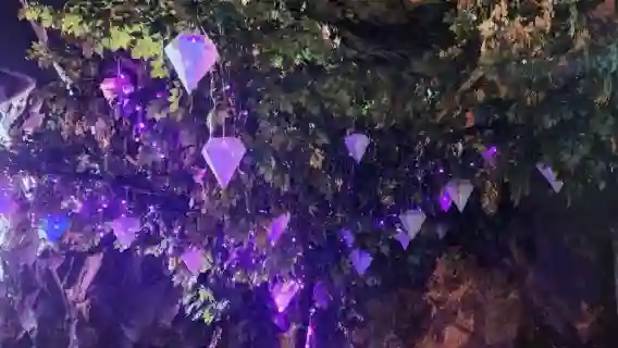 從釜山出發，前往蔚山蔚州郡的一日遊