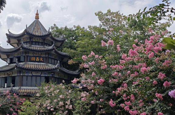 私家小團上門接駁|番禺沙灣古鎮+餘蔭山房+嶺南印象園一日遊