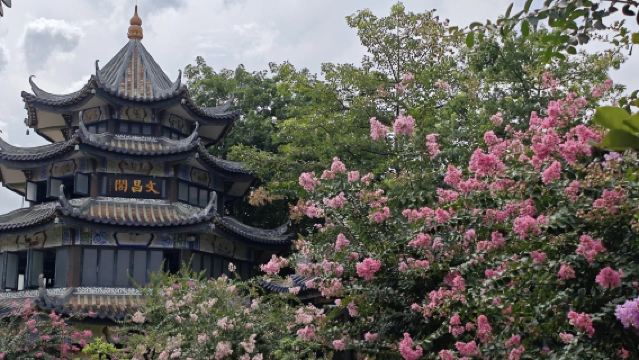 私家小團上門接駁|番禺沙灣古鎮+餘蔭山房+嶺南印象園一日遊