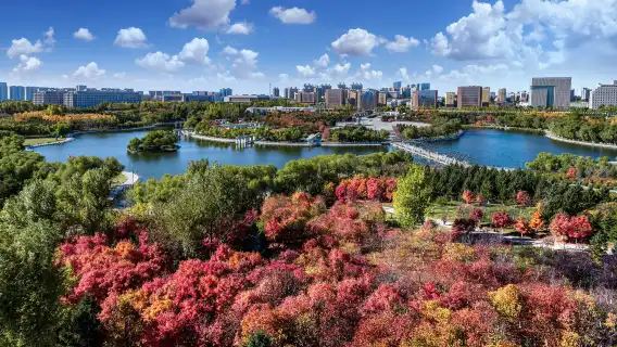 長春世界雕塑園+長春蓮花島影視休閒文化園區一日遊
