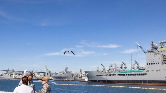 San Diego Harbor: 2-Hour Cruise with Live Guide