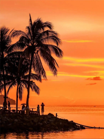 馬來沙巴紅樹林亞庇一日遊【kawa/海龜苑/天境/瑩河】