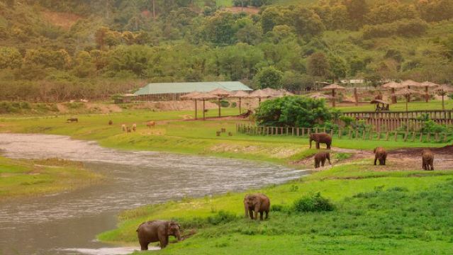 Elephant Sanctuary + Waterfall + Bamboo Rafting One Day Trip
