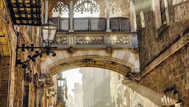 巴塞隆納：哥特區CityWalk+中文導遊2H深度導覽