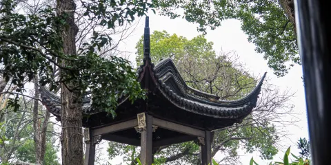虎丘山風景名勝區+楓橋設施+網師園+滄浪亭+盤門