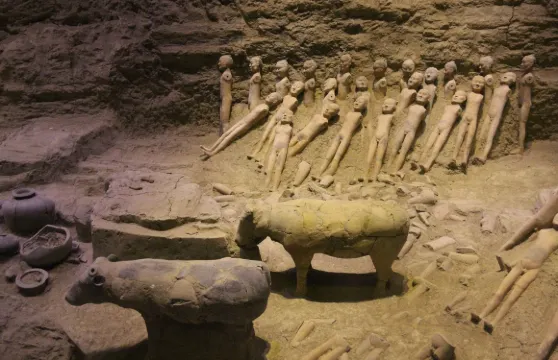西安秦始皇帝陵博物院（兵馬俑）及漢陽陵私人日遊