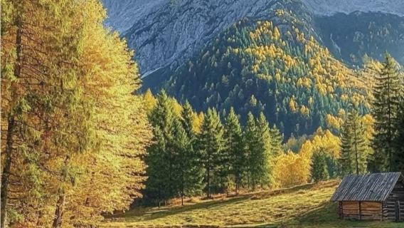 斯洛伐克布拉迪斯拉包車【布拉提斯拉瓦老城區+聖伊麗莎白教堂】