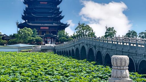 蘇州拙政園+陽澄湖+金雞湖+東方之門一日遊中英文服務 蘇州拙政園+陽澄湖+金雞湖+東方之門一日遊中英文服務