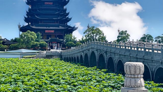 Suzhou Humble Administrator's Garden + Lake Yangcheng + Jinji Lake + The Gate of the Orient 1-day Tour with Chinese and English Services