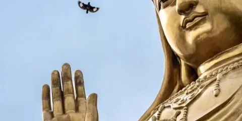 普陀山風景區一日遊【無購物·祈願專線許願還願】純玩靜心之旅