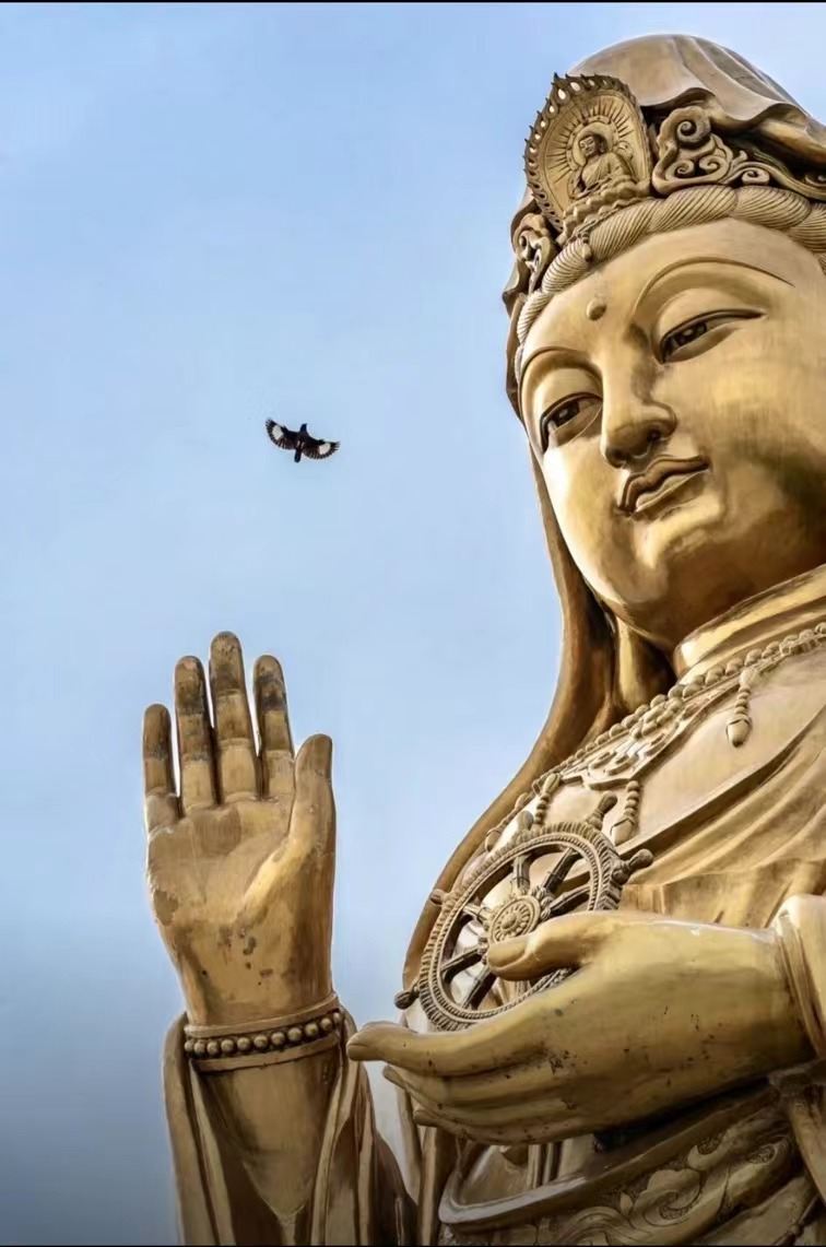 普陀山風景區一日遊【無購物·祈福專線許願還願】純玩靜心之旅