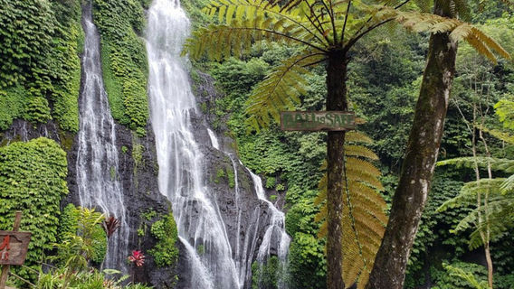 IjenTours