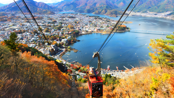 TokyoTours