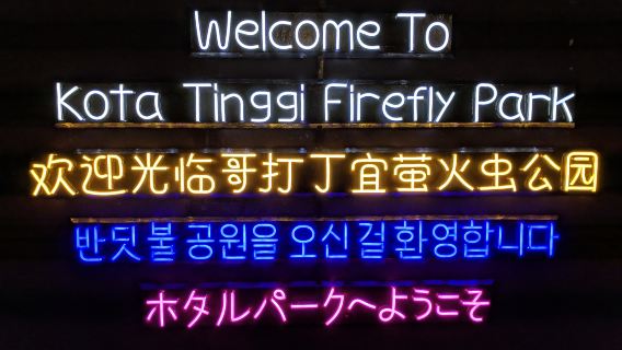 Tour du thuyền ngắm đom đóm trên sông tại Kota Tinggi Johor