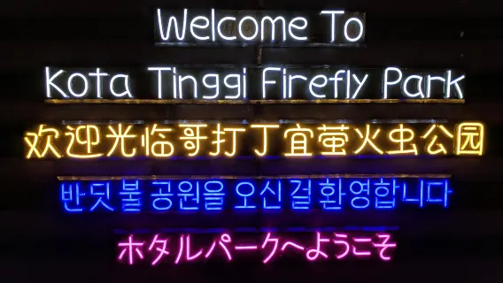 Tour du thuyền ngắm đom đóm trên sông tại Kota Tinggi Johor