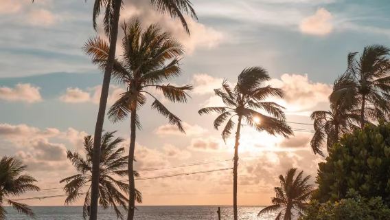 perjalanan satu hari: Jelajahi Desa dan Kota Nelayan yang Menawan