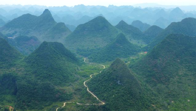 陽山莫六公頂一日遊，行攝/徒步/登頂山脊線，週六/日出發