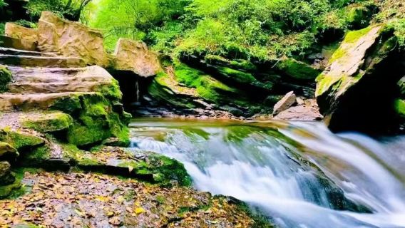 Lawatan Sehari di Muzium Ekspedisi Panjang Tentera Merah Gunung Liupan Guyuan + Taman Negara Gunung Liupan