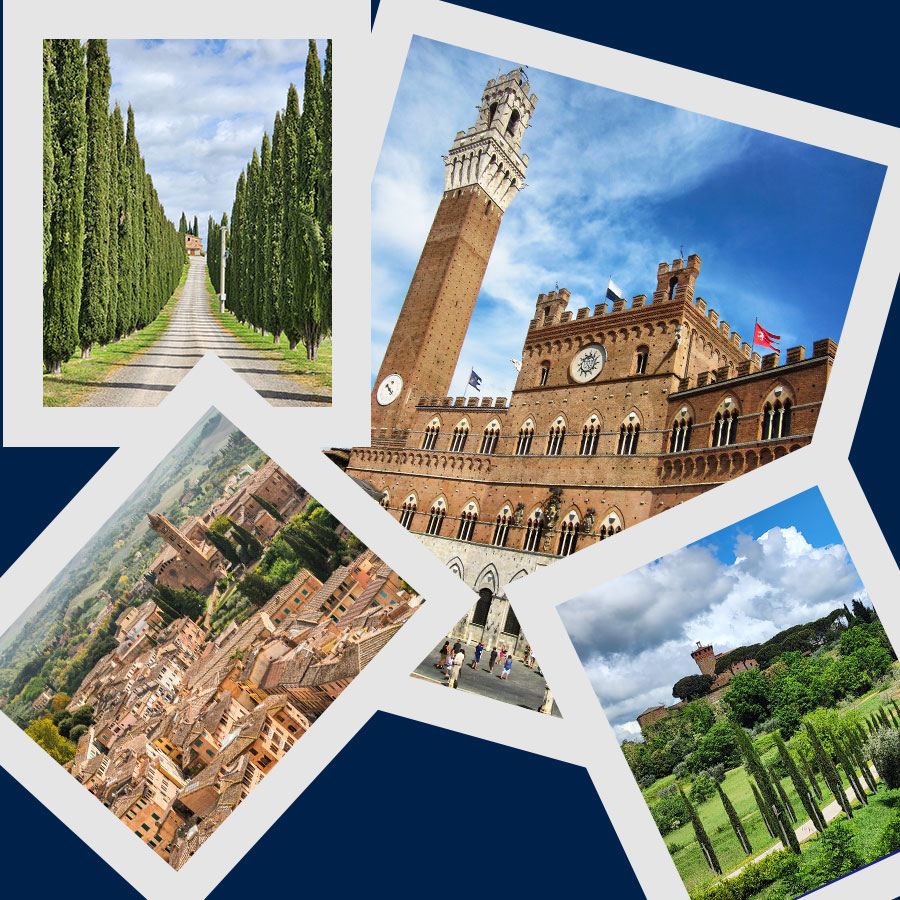 [피렌체 출발] 시에나+산지미냐노+토스카나 와이너리  근교 소수 전용차량투어[한국인가이드]