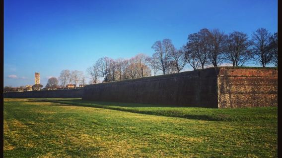 Lucca: tour a piedi di 2 ore nel centro città
