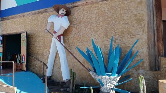 Ensenada: Tham quan thành phố & Cưỡi ngựa trên bãi biển