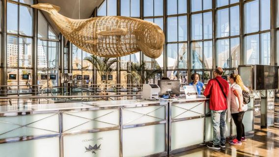 Entrada al Oceanogràfic de Valencia con visita al backstage en español