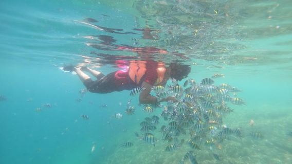 Secret Island Gili Nanggu, Sudak and Kedis Snorkeling tour