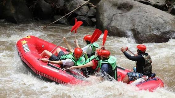Ubud: Ayung River Rafting Adventure Lunch