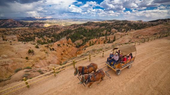 Bryce Canyon City: Paseo en carroza hasta el borde de Bryce Canyon