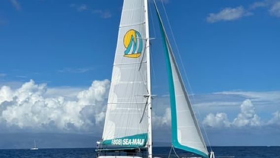 Ab Kaanapali: Schnorcheln am Nachmittag in West-Maui mit Getränken