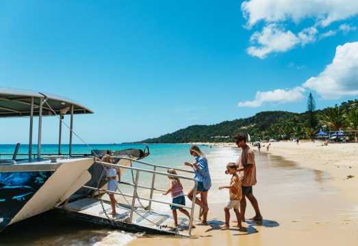 Moreton Island: Tangalooma Day Trip Marine Discovery Cruise AUD 147.39