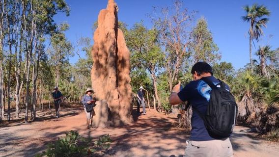 Darwin: Litchfield, crociera con avvistamento coccodrilli e tour al tramonto