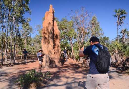 Darwin: Litchfield, Crocodile Cruise and Sunset Tour AUD 251.52