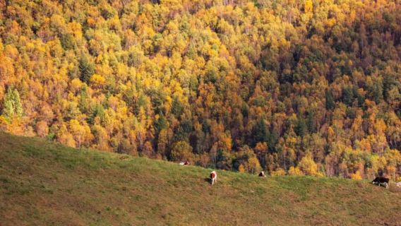 麻田嶺健行1日【河北小天山+京西香格里拉+10公里小環穿】