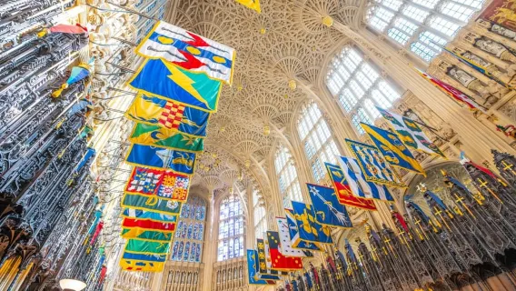 Londra: Abbazia di Westminster, Big Ben e Tour guidato di Buckingham