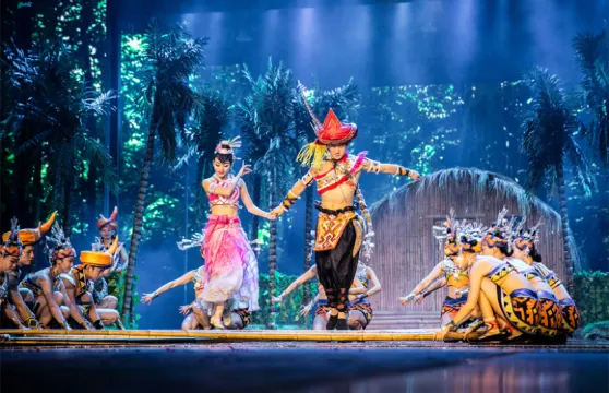 【海南】《三亞千古情》演出票(全息投影+水幕奇觀+360°立體舞台+ 穿越三亞萬年歷史+感受黎苗風情)