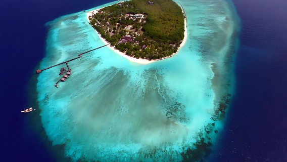 Tour di snorkeling alle isole di MATAKING, TIMBA-TIMBA e POM POM a SEMPORNA