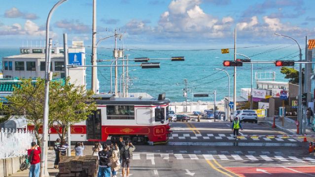 海東龍宮寺＋藍線公園火車＋甘川文化＋松島步道一日遊【線路C】