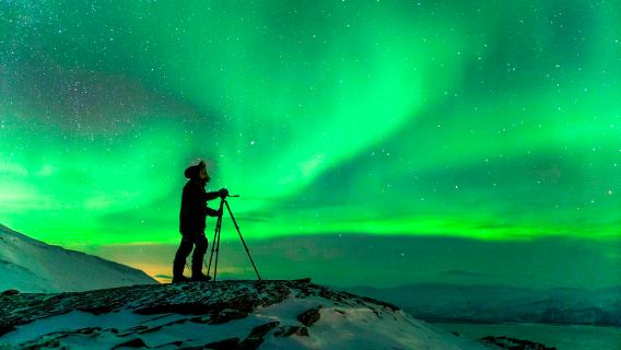 Abisko: visita notturna alla stazione STF Aurora Sky per osservare l'aurora boreale