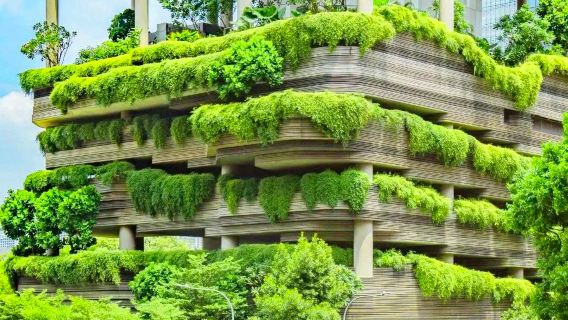 新加坡•星耀獅城網紅打卡一日遊+含晚餐+中文導遊【一人起訂】